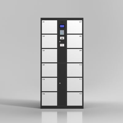 Les portes du supermarché 12 relèvent les empreintes digitales du casier de stockage électronique de code barres de serrure