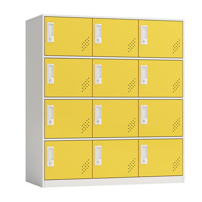 12 casiers de stockage multifonctionnels de demi de taille de portes de casier école en acier de personnel
