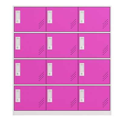 12 casiers de stockage multifonctionnels de demi de taille de portes de casier école en acier de personnel