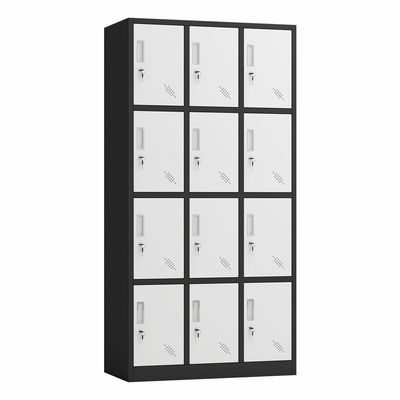 Entreposage en à la maison double de la couleur 12 de portes de bureau en métal casier de Cabinet